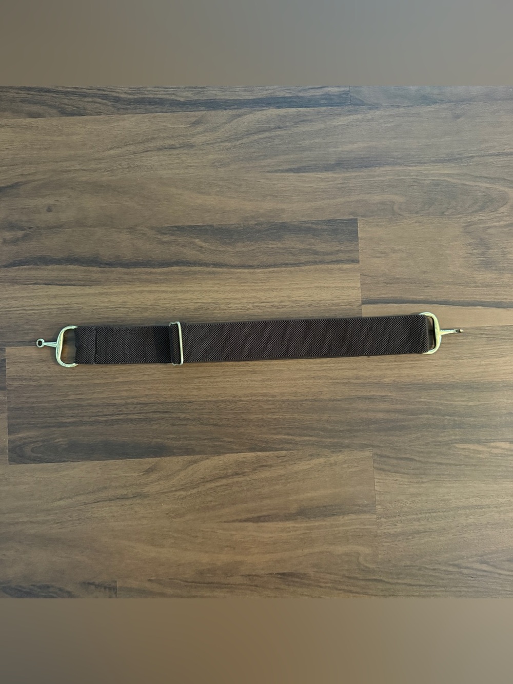 Women’s Brown Dover Elastic English Horseback Riding Belt